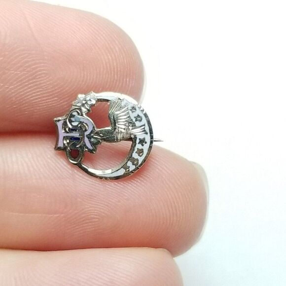 Vintage Daughters of Rebekah I OOF Enameled Pin Brooch, Crescent Moon, Bird - Picture 2 of 6